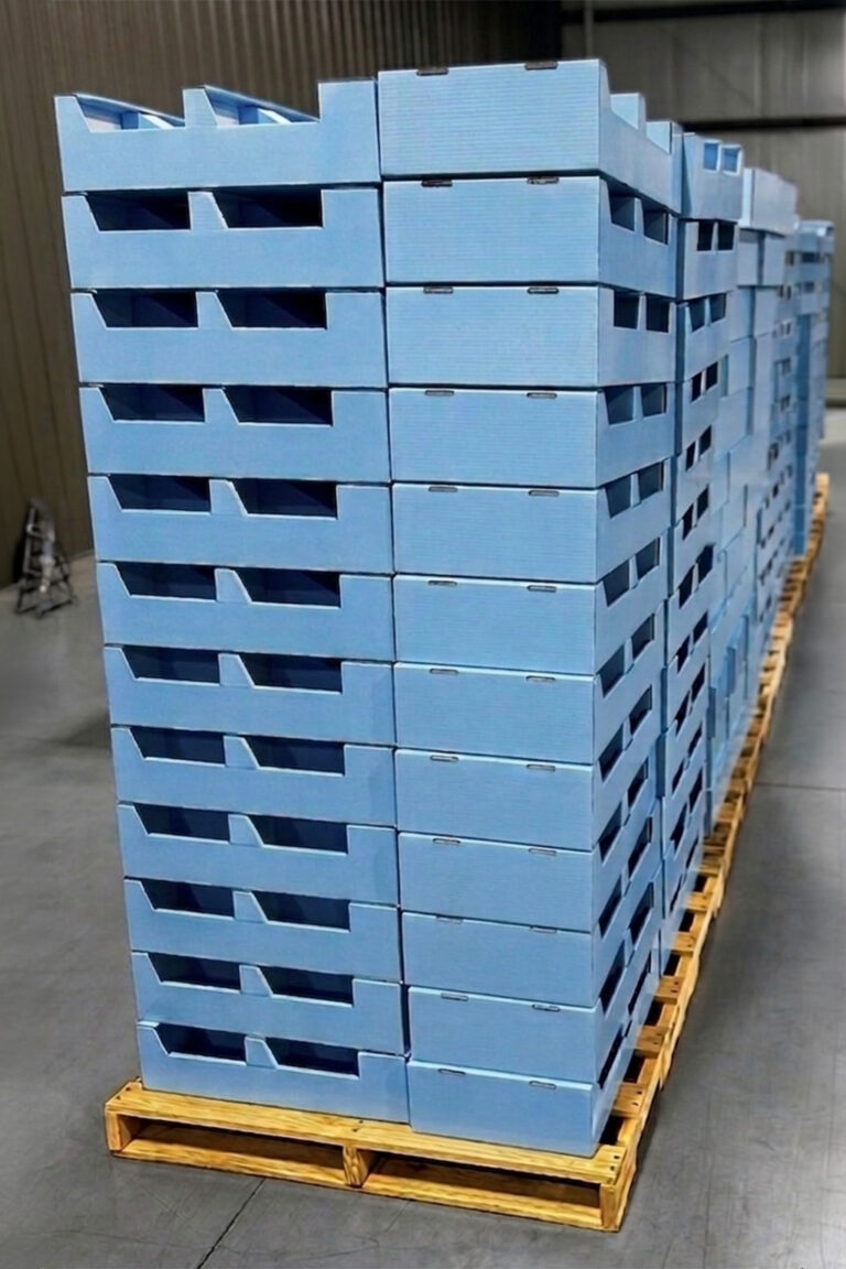 MPHL01